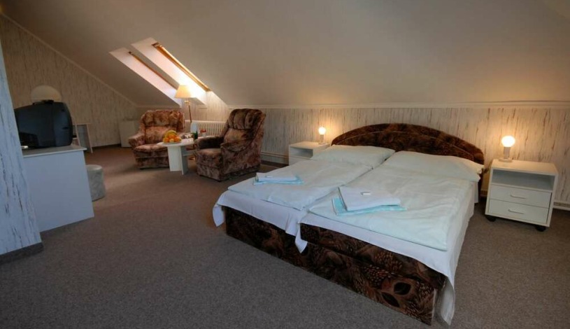 Spa & Kur Hotel Praha Františkovy Lázně - Standardní dvoulůžkový pokoj